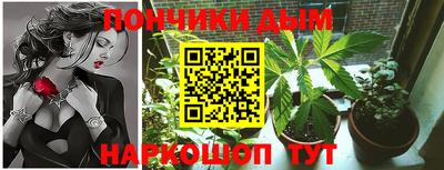 МДПВ Краснознаменск