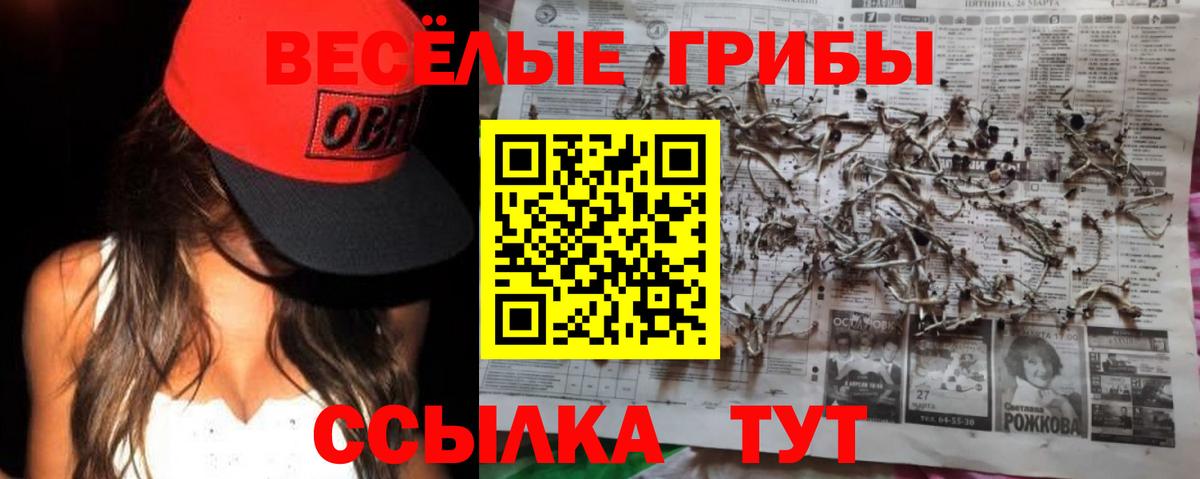 Егорьевск  Галлюциногенные грибы прущие грибы  Вход с VPN 